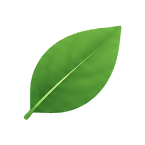 Clear Recipe logo